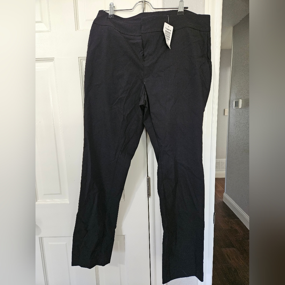 Torrid Dress Pant